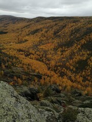 Mountain gorge in autumn. Rocks, mountains, orange trees.