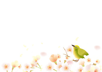 メジロのいる春の桜 © ヨーグル