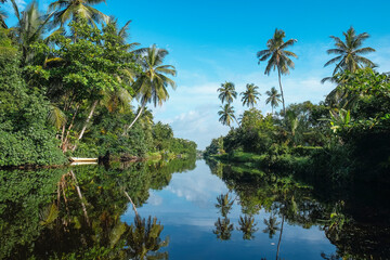Obraz premium tropical river with palm tree reflections, hamilton canal, negombo lagoon , sri lanka 