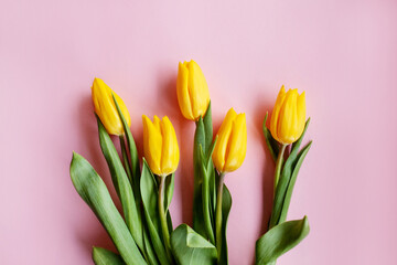 A bouquet of yellow tulips on a pink background with space for text. Top view. Valentine's Day, Women's Day, Mother's Day