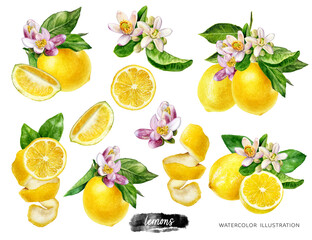 Lemons big set composition watercolor illustration isolated on white background