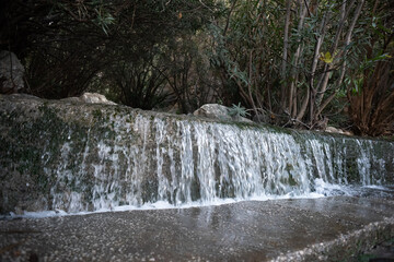 Nacimiento de agua de Istán 