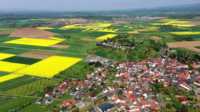 Agricultural fields at Lich / M&uuml;nzenberg district, Hesse, Germany
