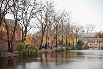 A beautiful autumn view with lake and colorful leaves