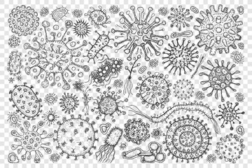 Bacteria virus molecule doodle set. Collection of hand drawn various microbe bacteria molecules of different shapes and sizes in microbiology isolated on transparent background