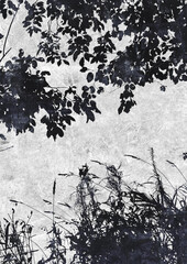 Grunge background with vintage old paper texture and branches silhouette. Raster Version Illustration