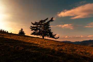Spacer po Małych Pieninach. © Mariusz Szymanek