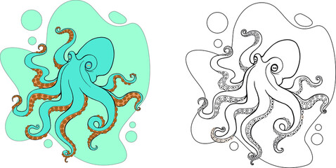 Coloring book page for children with colorful octopus and sketch to color. Hand drawn line sea octopus. Vector illustration isolated. Animal totem for adult Coloring Page