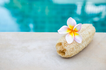 Natural scrubber sponge with Plumeria flower on swimming pool edge, outdoor day light, spa concept background, outdoor day light, Dried gourd luffa