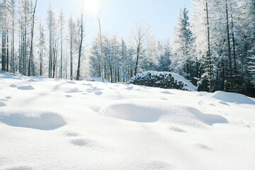 Fototapeta premium Schöne Winterlandschaft im Harz