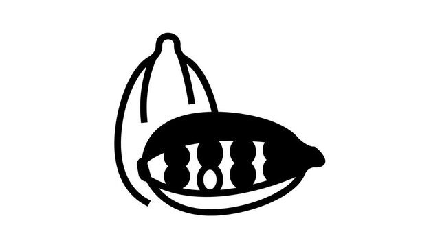 Aromatherapy Herbs Icon Animation Lavender And Peppermint, Ginger And Frankincense, Patchouli And Chamomile Aromatherapy