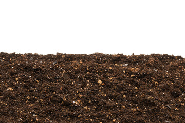 Black land for plant.