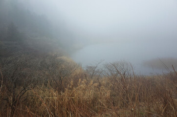 Obraz na płótnie Canvas Foggy pond