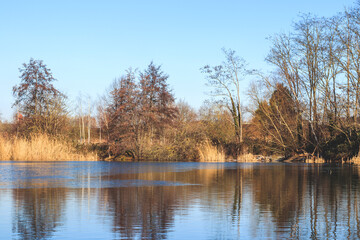 Sur les bords du lac en hiver
