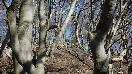 a hiker, Mons Klint, Denmark, March