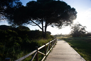 Cabo Pino 
