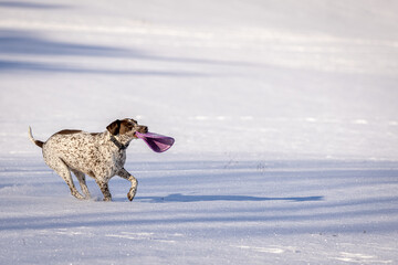 Spaß im Schnee
