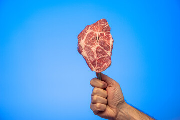 Slice of fresh raw marbled steak on a fork held in hand studio close up shot isolated on blue...
