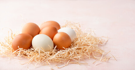 Chicken eggs in nest on pink background with copy space for text or design. Different color eggs
