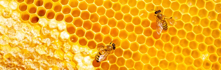 Fotobehang Mooie honingraat met bijen close-up. Een zwerm bijen kruipt door de kammen om honing te verzamelen. Bijenteelt, gezond voedsel voor de gezondheid. © Vera