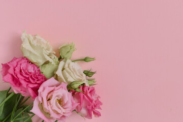 Bouquet of pink eustoma in the lower corner on a pink background