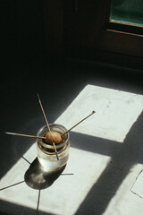 Pipa de aguacate clavada en palillos flotando en vaso de agua de cristal pegado a ventana