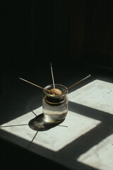 Pipa de aguacate clavada en palillos flotando en vaso de agua de cristal pegado a ventana