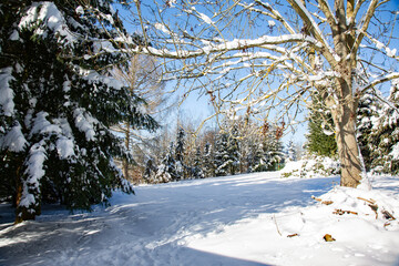 winter im erzgebirge