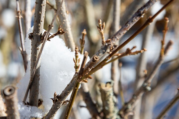 winter im erzgebirge
