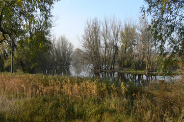 Early spring in the old park with a pond