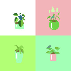 Set with different stylized home plants