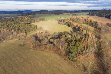 Aerial view of an pine tree forest