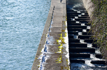 Fototapeta premium Echelle à poisson dans le Rhin à Bâle
