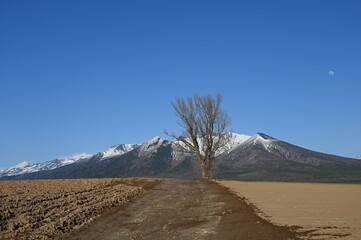 雪かぶる山と畑