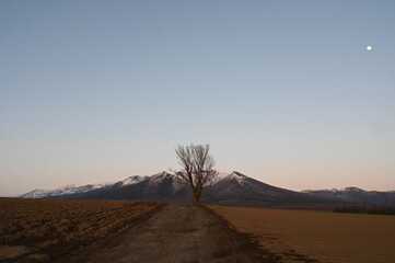 赤く染まる雪山