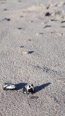 stones on the beach of Stege on the island Mon, Denmark, March