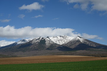 雪山と畑