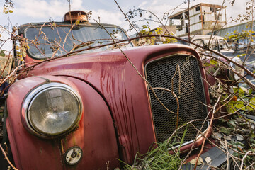 Closeup of an old abandoned rusty cab engulfed by nature.
