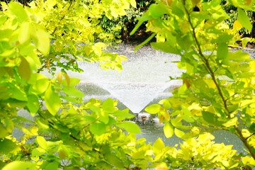 The fountain at the park is surrounded by trees.