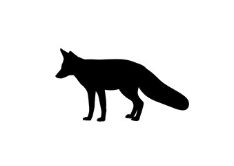 Silhouette Volpe