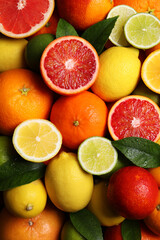 Naklejka na ściany i meble Different ripe citrus fruits as background, closeup