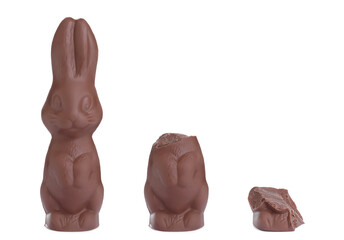 Process of eating delicious chocolate Easter bunny on white background