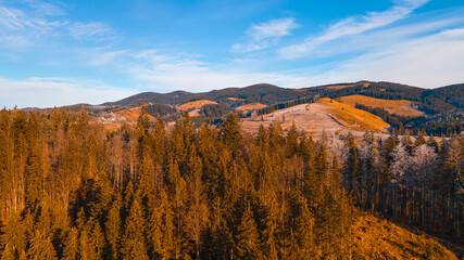 Obraz premium beautiful mountain landscape coniferous forest