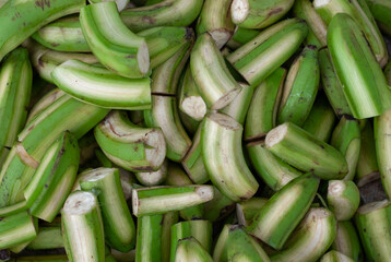 Bunch of rejected quality controlled bananas