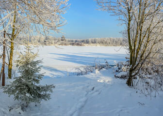 Winter landscape with frost and snow.