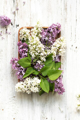 Lilac flowers lie on a wooden tray. White and lilac flowers. Light coloured background and minimalism. Soft focus