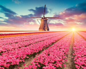 Landschap met tulpen, traditionele Nederlandse windmolens en huizen dichtbij het kanaal in Zaanse Schans, Nederland, Europa