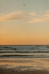 seascape during the golden hour