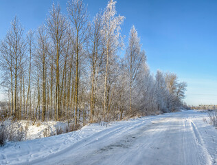Fototapeta premium Winter landscape with frost and snow.