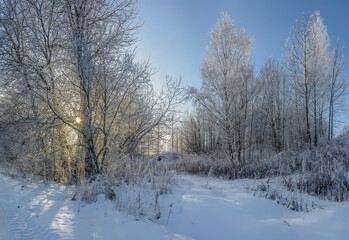 Fototapeta na wymiar Winter landscape with frost and snow.
